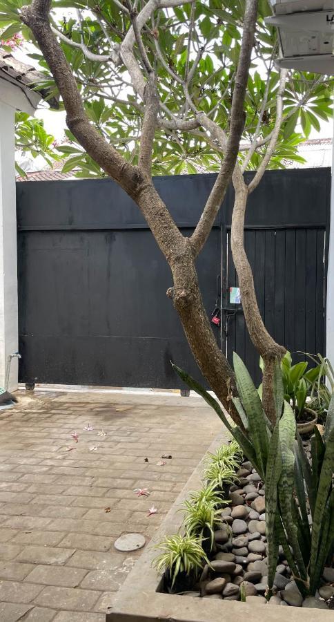 Chic And Cozy Studio Canggu Εξωτερικό φωτογραφία